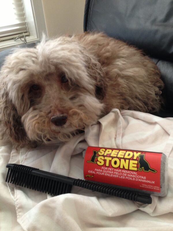 PET HAIR STONE REMOVAL FOR CARS